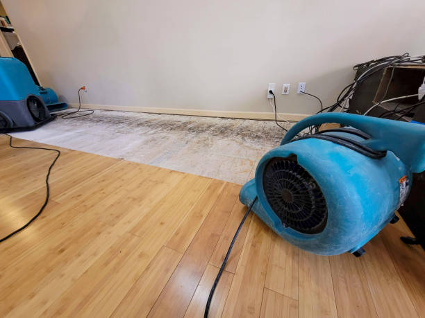 Professional Water Extraction technician working in Fruitvale, CO